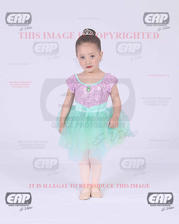 TPSIMG_2255
