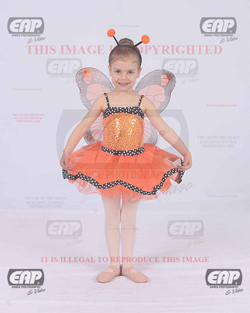 TTDIMG_0739