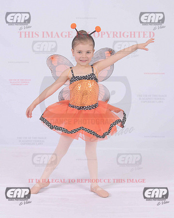 TTDIMG_0740