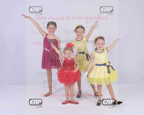 TTDIMG_0534