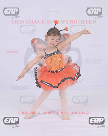 TTDIMG_0645