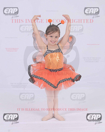 TTDIMG_0647