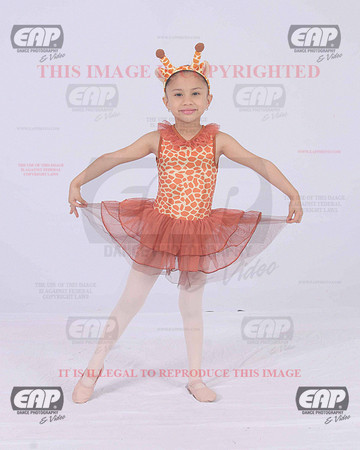 TTDIMG_0943