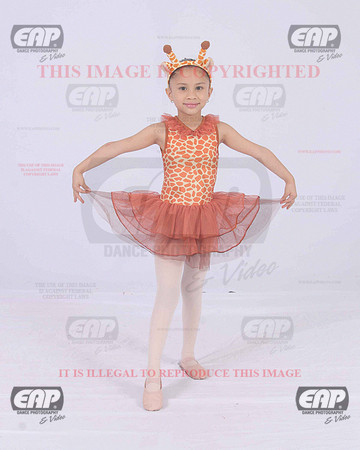 TTDIMG_0944