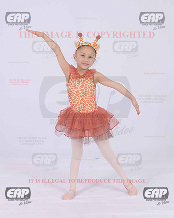 TTDIMG_0945