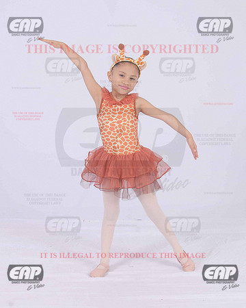 TTDIMG_0946
