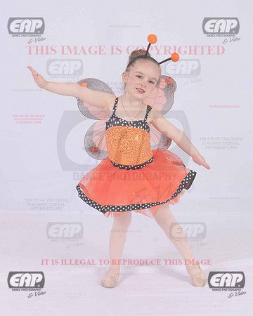 TTDIMG_0750