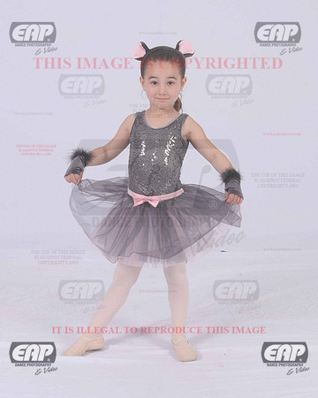 TTDIMG_0941