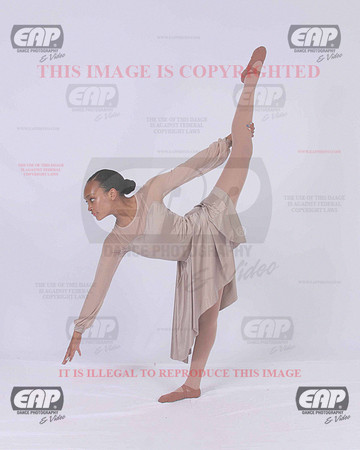 TTDIMG_0785