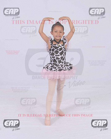 TTDIMG_0953