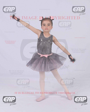 TTDIMG_0937