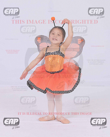 TTDIMG_0729