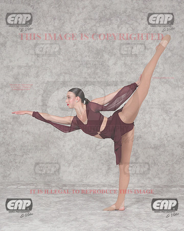 DSSIMG_1729