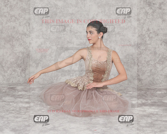 DSSIMG_2453