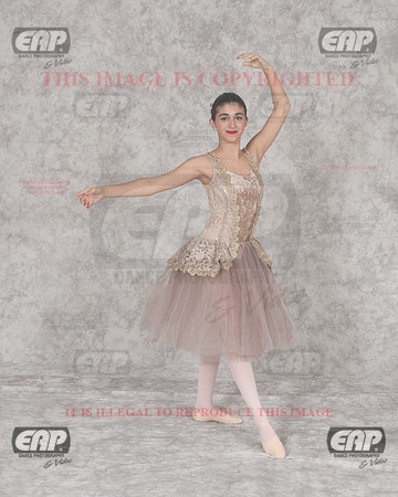 DSSIMG_2452