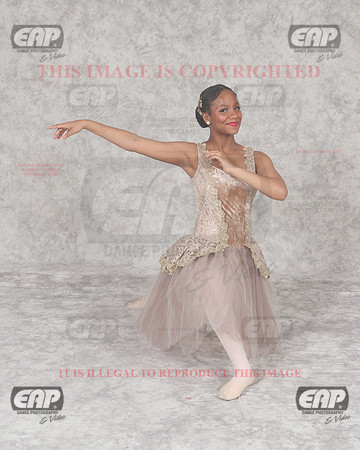 DSSIMG_2440