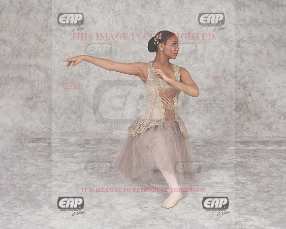DSSIMG_2439