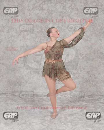 DSSIMG_2011
