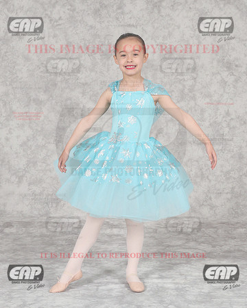 DSSIMG_1595