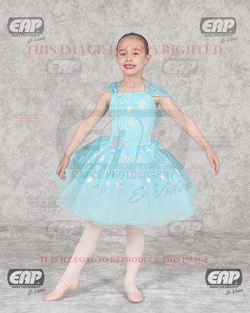 DSSIMG_1597