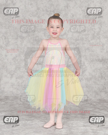 DSSIMG_1353