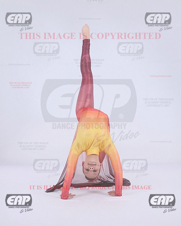 BDPIMG_1026