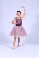 DanceArt Dance Studio
