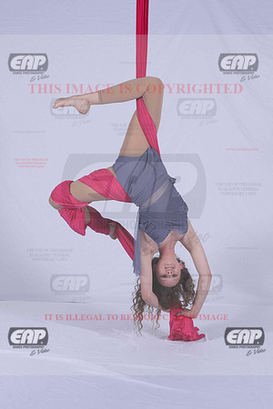 PDCIMG_2774