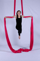 Branham_Elle_Silks