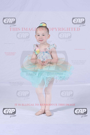 PDCIMG_2335
