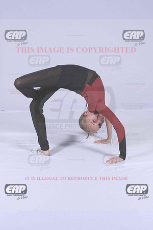 PDCIMG_2950