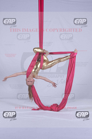PDCIMG_2761