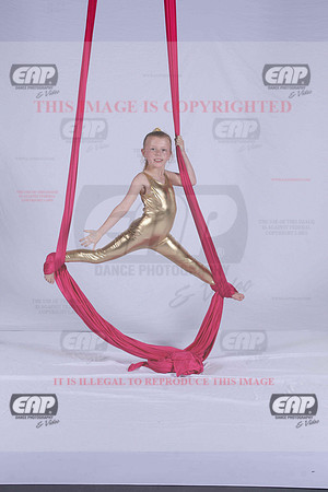 PDCIMG_2762