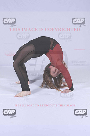 PDCIMG_2952