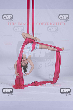 PDCIMG_2764