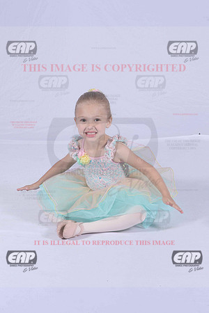 PDCIMG_2340