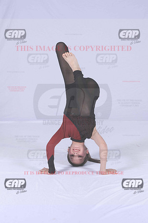 PDCIMG_2960