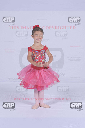 PDCIMG_1846