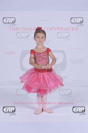 PDCIMG_1847