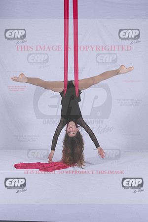 PDCIMG_2779