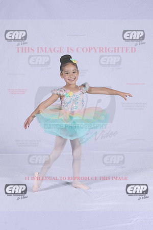 PDCIMG_2329
