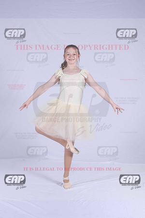 PDCIMG_2729