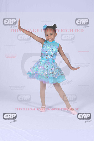 PDCIMG_1517