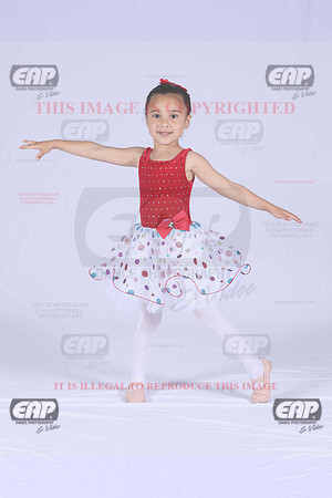 PDCIMG_1533