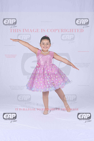 PDCIMG_1550