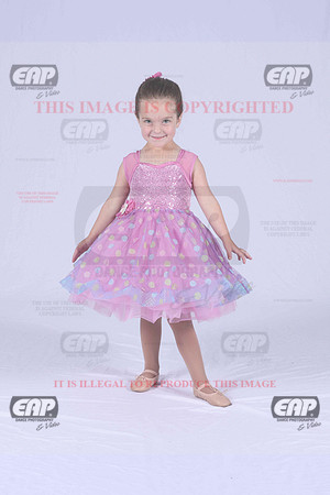 PDCIMG_1617