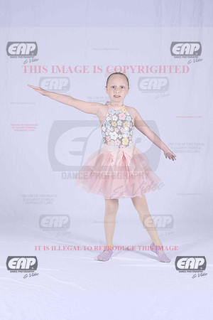PDCIMG_1754