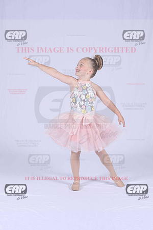 PDCIMG_1760