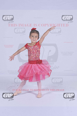 PDCIMG_1845