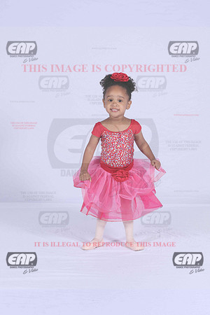 PDCIMG_1858